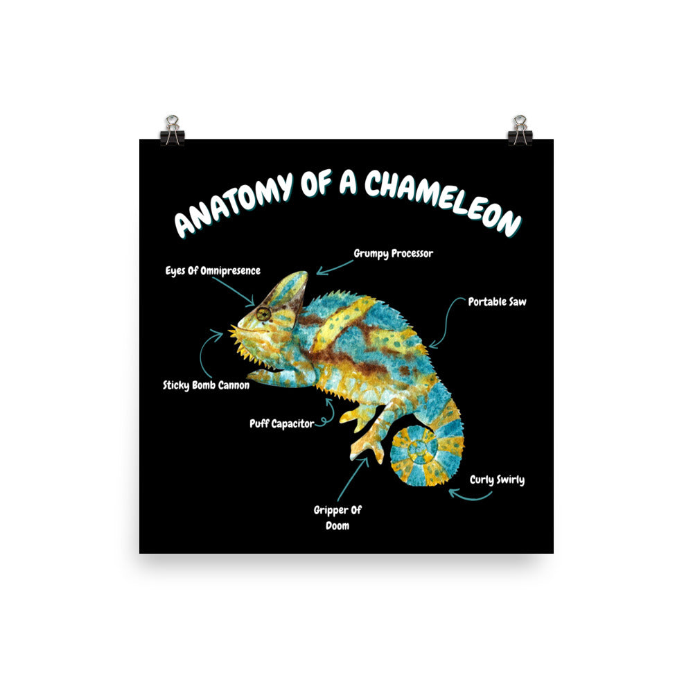 Anatomy of a Chameleon Poster