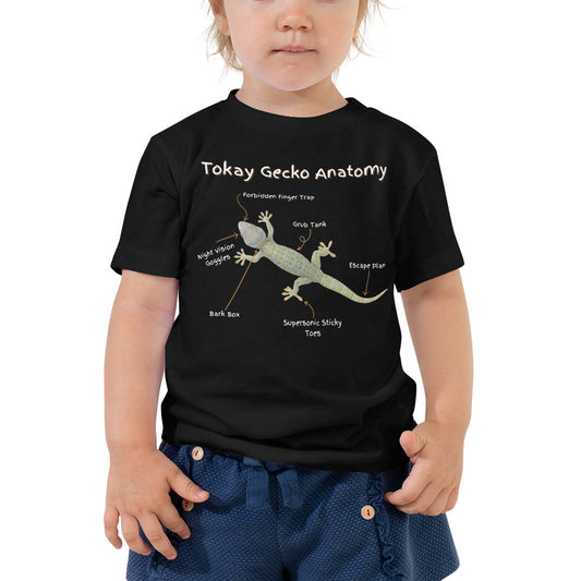 Tokay Gecko Anatomy Toddler Short Sleeve Tee